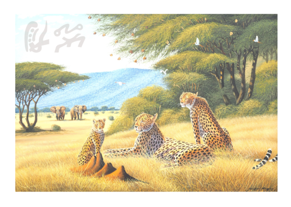 “Panthères - Eléphants”
