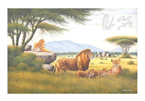 “Troupeau de lions 1”