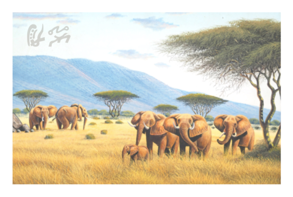 “Troupeau d’éléphants 2”