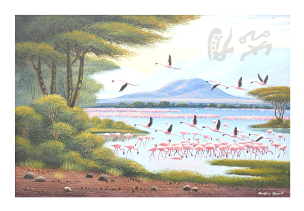 Les flamants roses