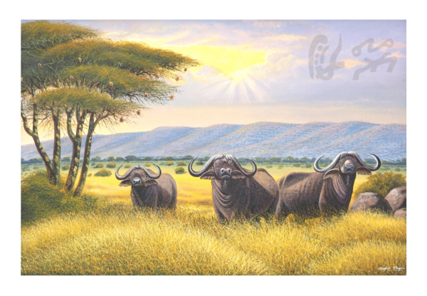 “Troupeau de buffles”
