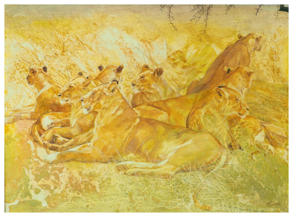 “Le repos des lions”