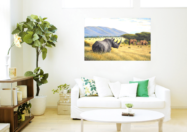 "Rhinocéros - Éléphants" – Image 2