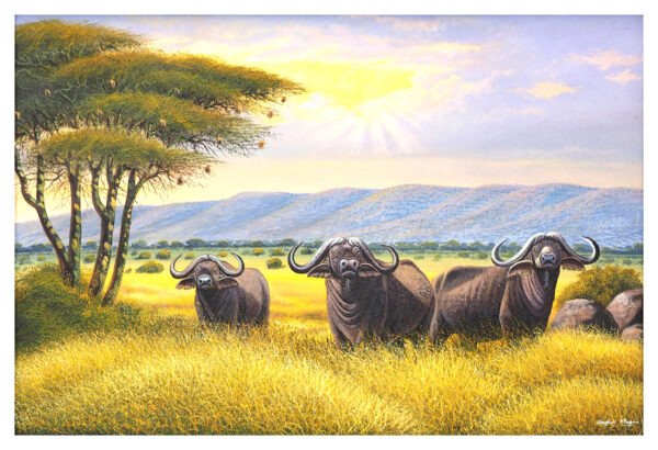 "Troupeau de buffles"