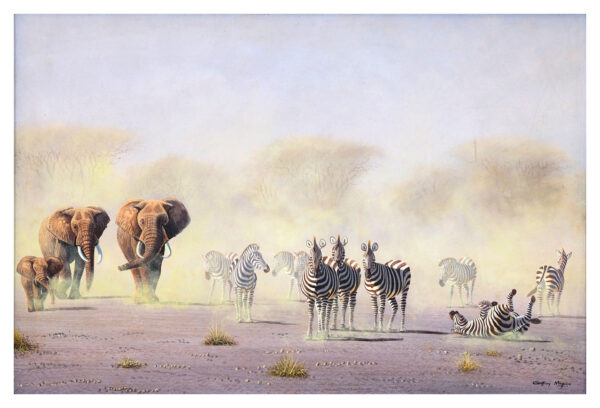 "Éléphants - Zèbre"